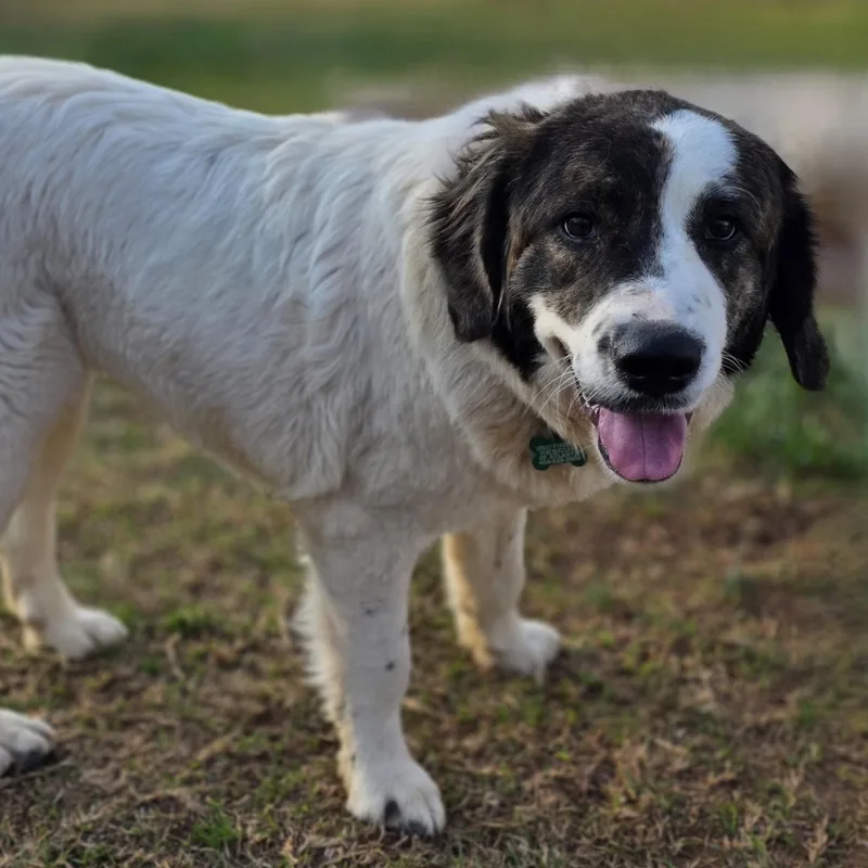 Greta Monti thumbnail 2