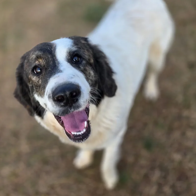 Greta Monti thumbnail 3