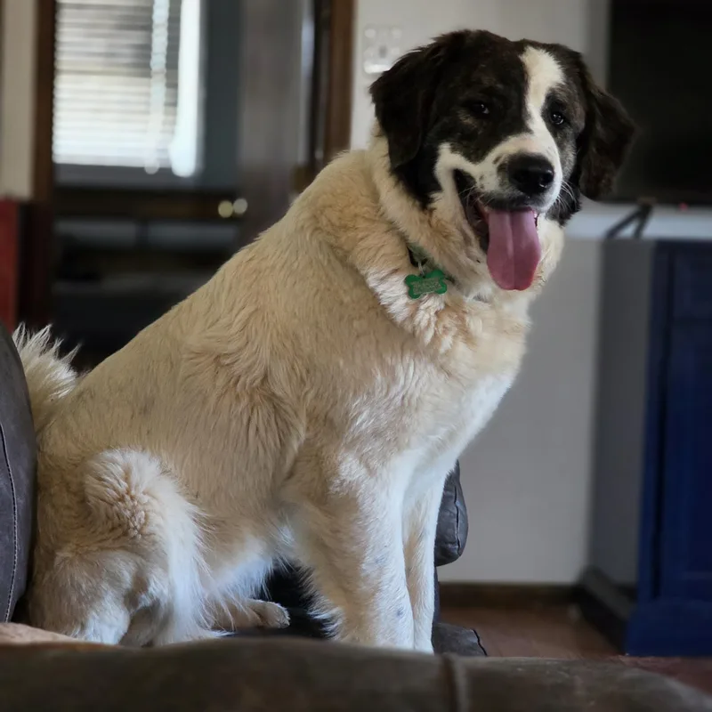 Greta Monti thumbnail 4