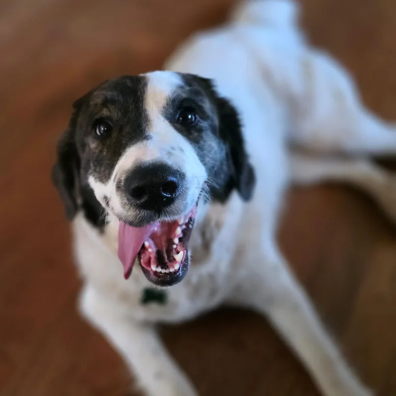 Greta Monti thumbnail 5