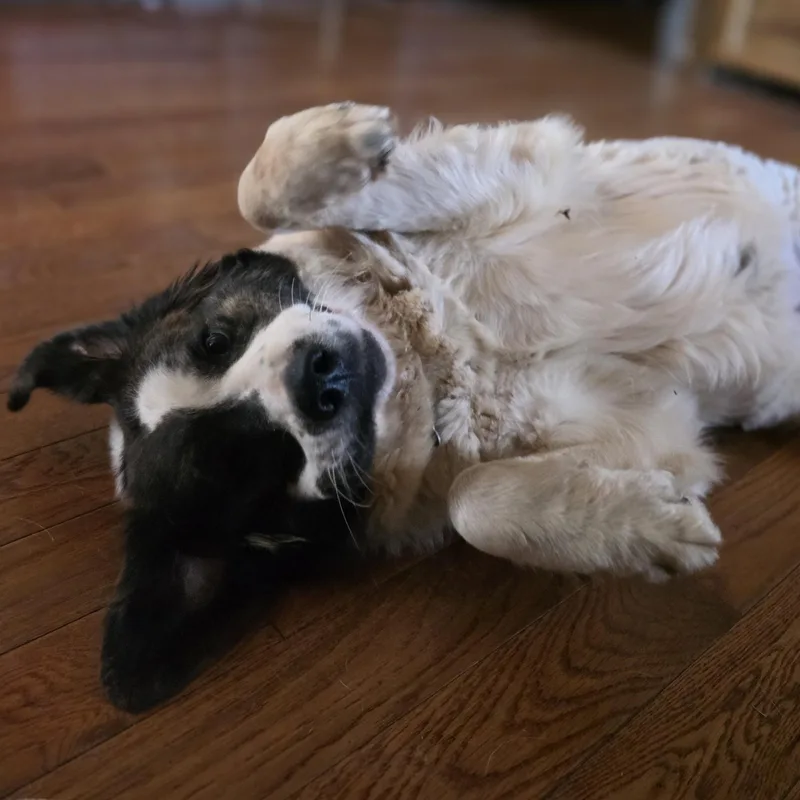 Greta Monti thumbnail 6