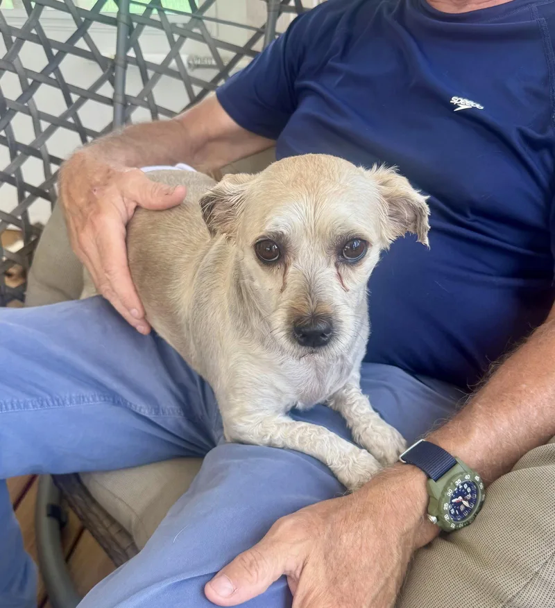 Cinnamon thumbnail 2