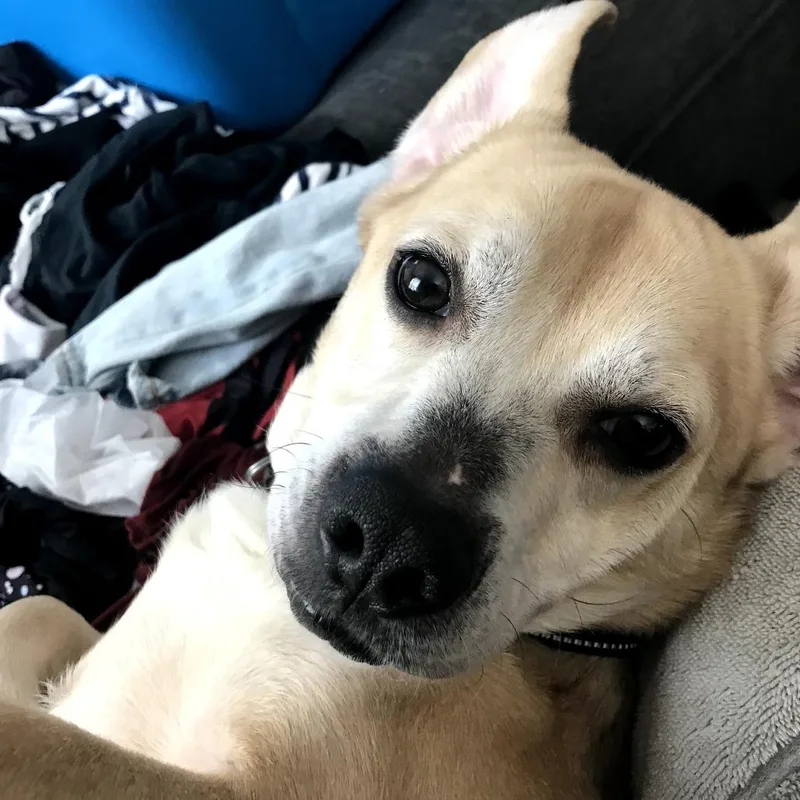 O'conner thumbnail 2