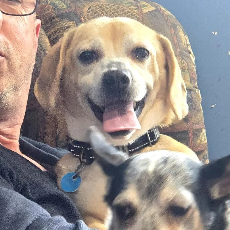 O'conner thumbnail 3