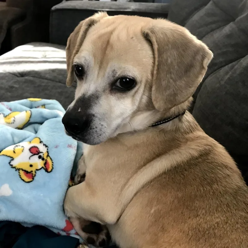 O'conner thumbnail 6