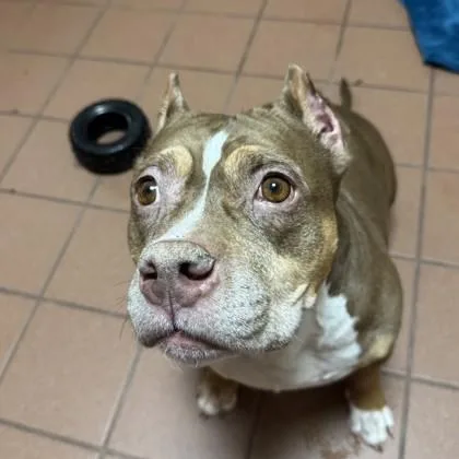 Lola Jean thumbnail 2