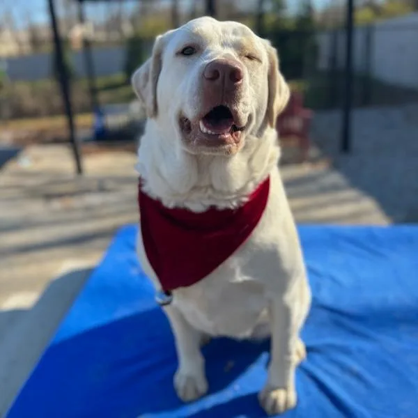 Sweet Face thumbnail 4