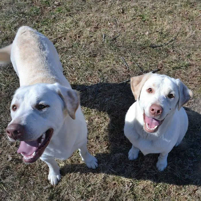 Sweet Face thumbnail 6