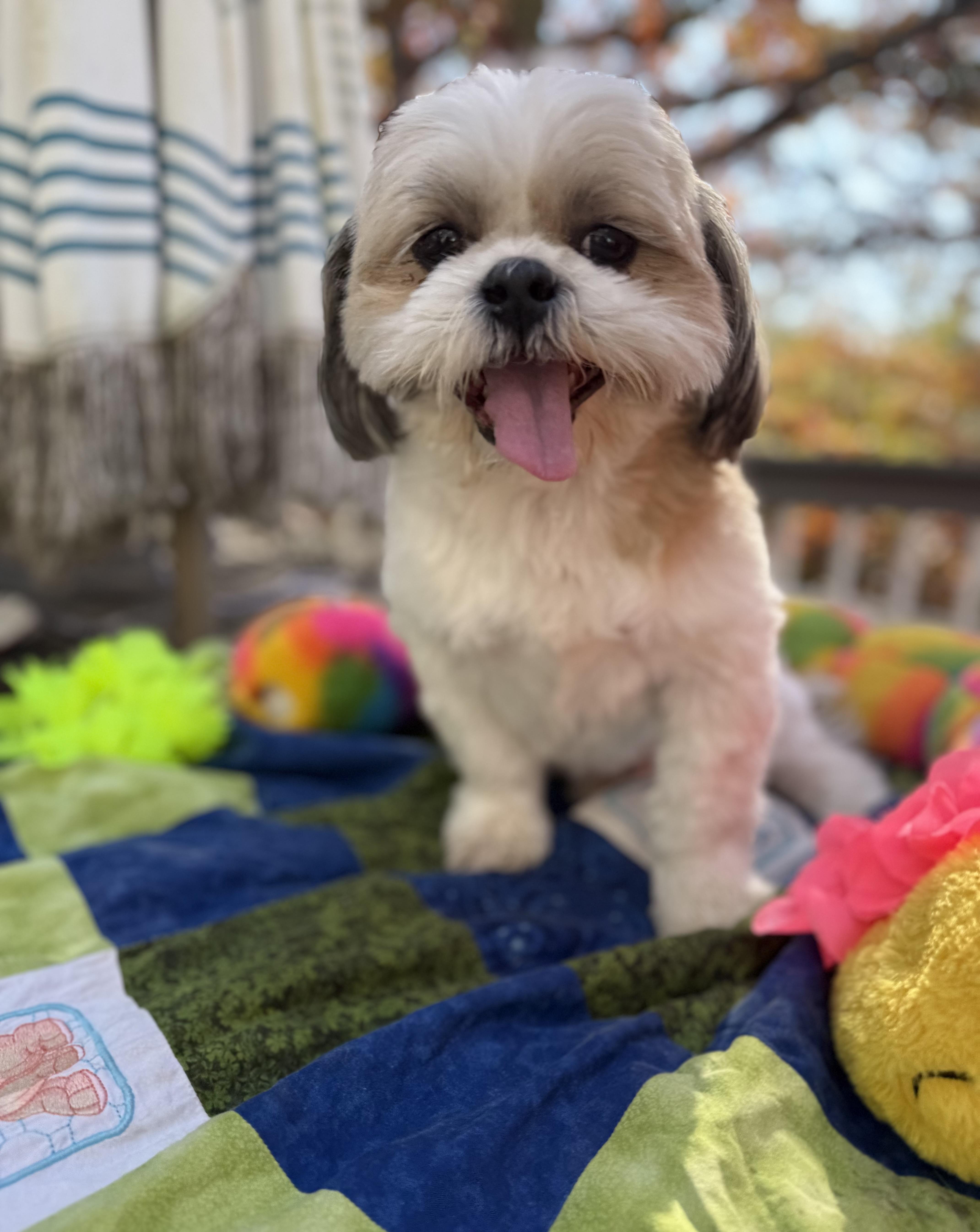 Tuffy thumbnail 3