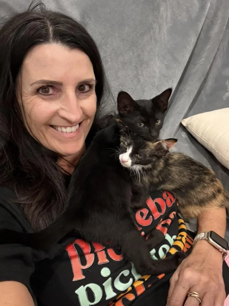 A baby medium-sized female Black Domestic Short Hair cat named Cricket for adoption in Fort Worth, TX