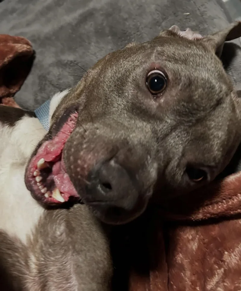 Slim Shady thumbnail 2