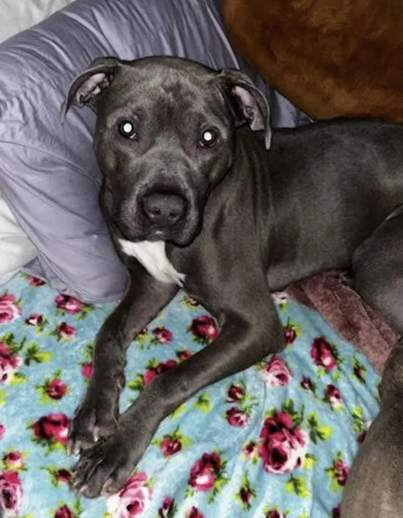 Slim Shady thumbnail 5