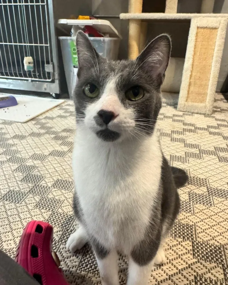 Frank & Cholula thumbnail 2