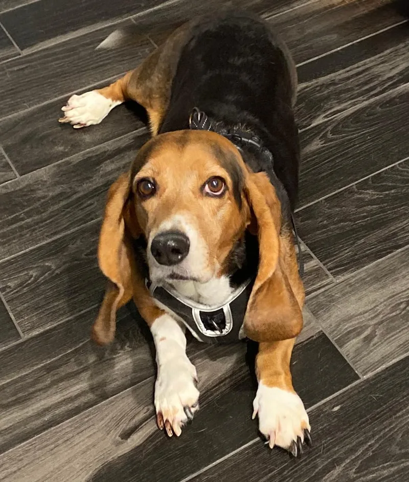 Ellie Mae