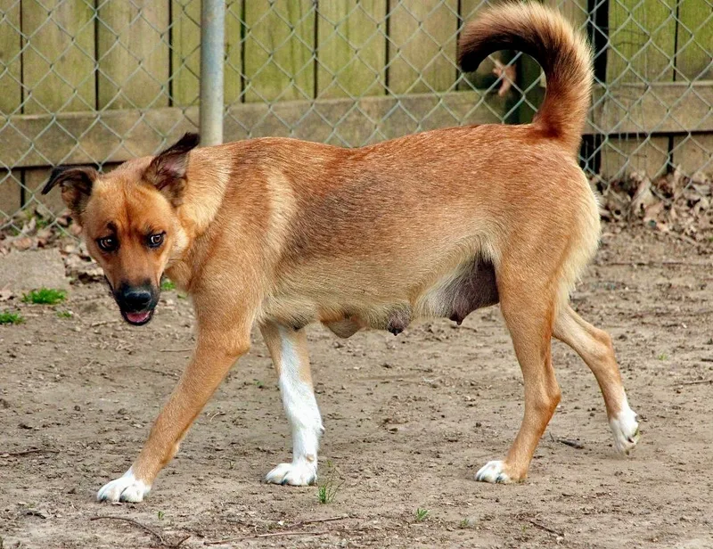 Lilibeth thumbnail 2