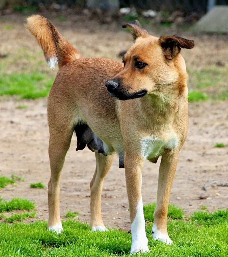 Lilibeth thumbnail 5