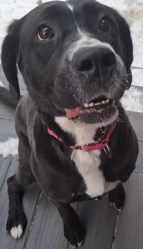 Daisy Mae thumbnail 2