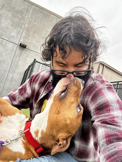 An adult large-sized male Brown / Chocolate Mixed Breed dog named Mr. Peabody for adoption in Wichita, KS