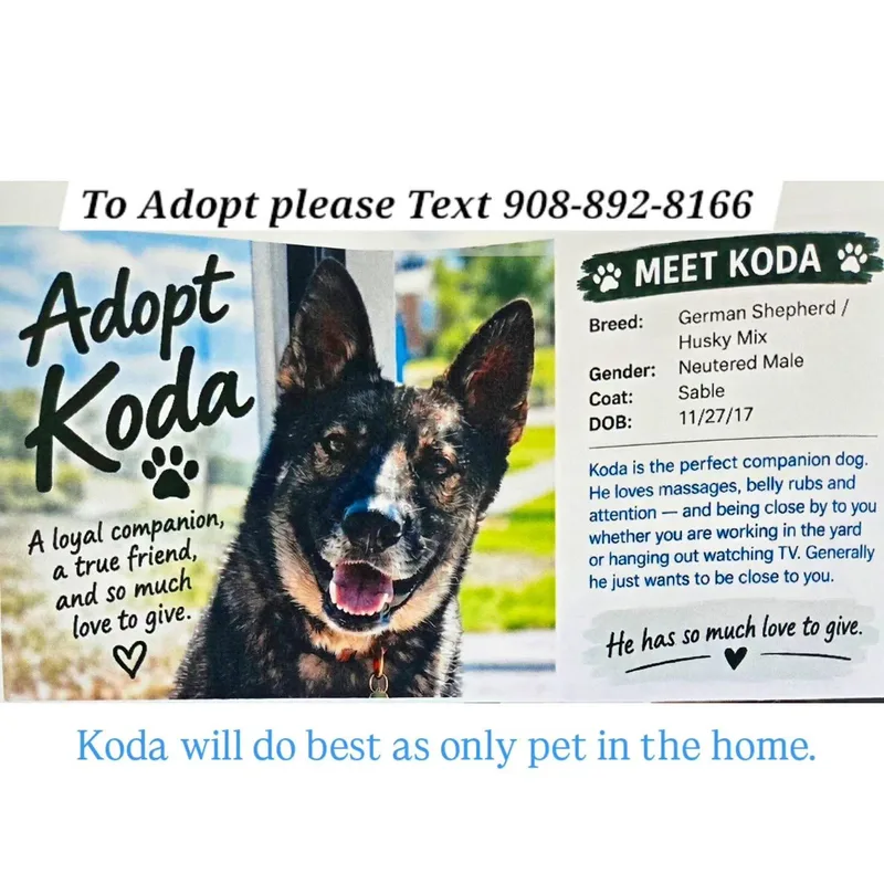 Koda