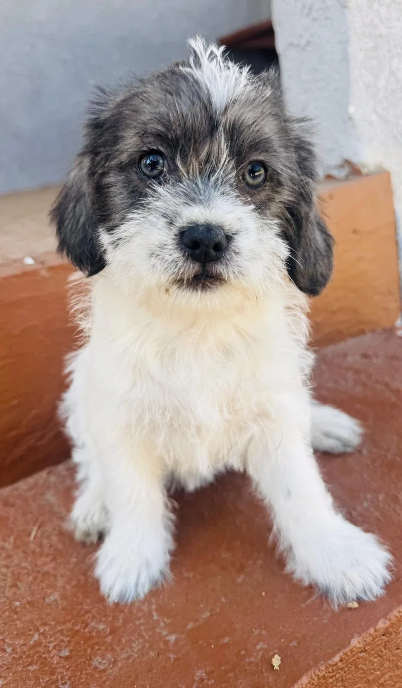 Sprinkles thumbnail 2