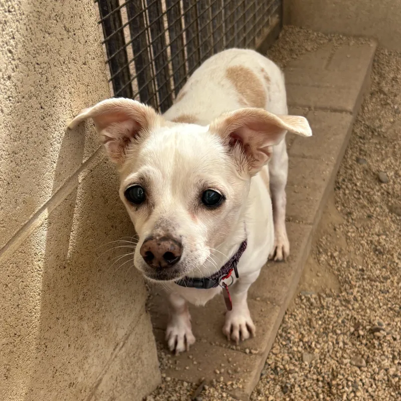 Rosa Barks & Andy thumbnail 5