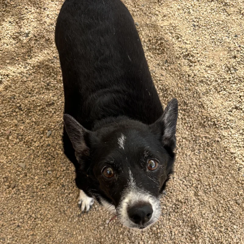 Rosa Barks & Andy thumbnail 6