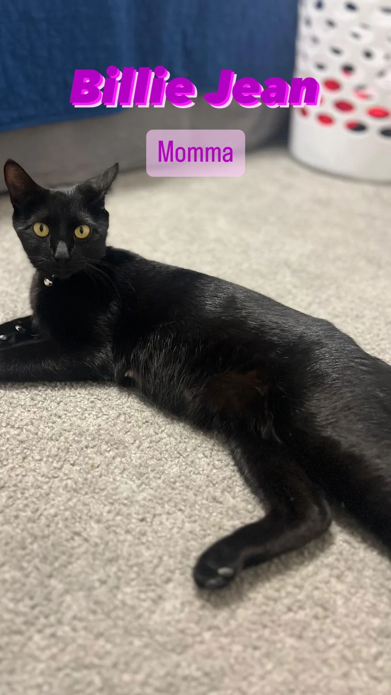 Billie Jean H thumbnail 3