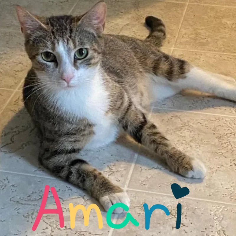 Amari thumbnail 3