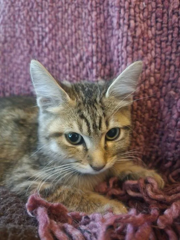 Lilly Mae thumbnail 3