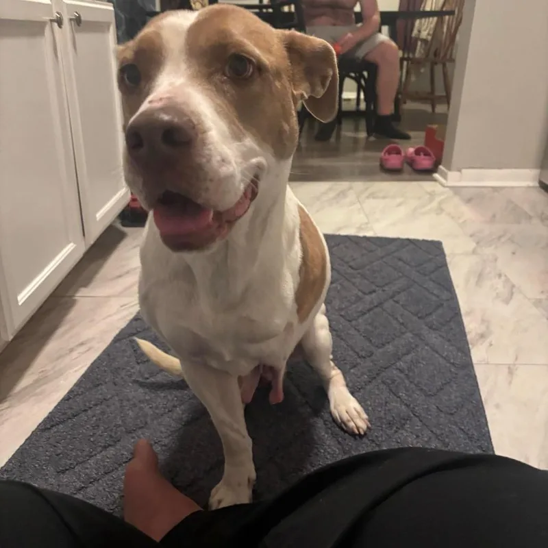 Daisy Mae thumbnail 3