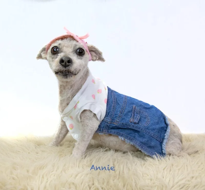 Annie thumbnail 2