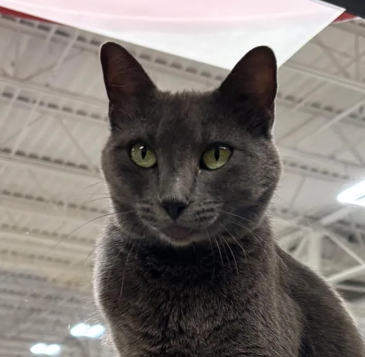Francine thumbnail 3