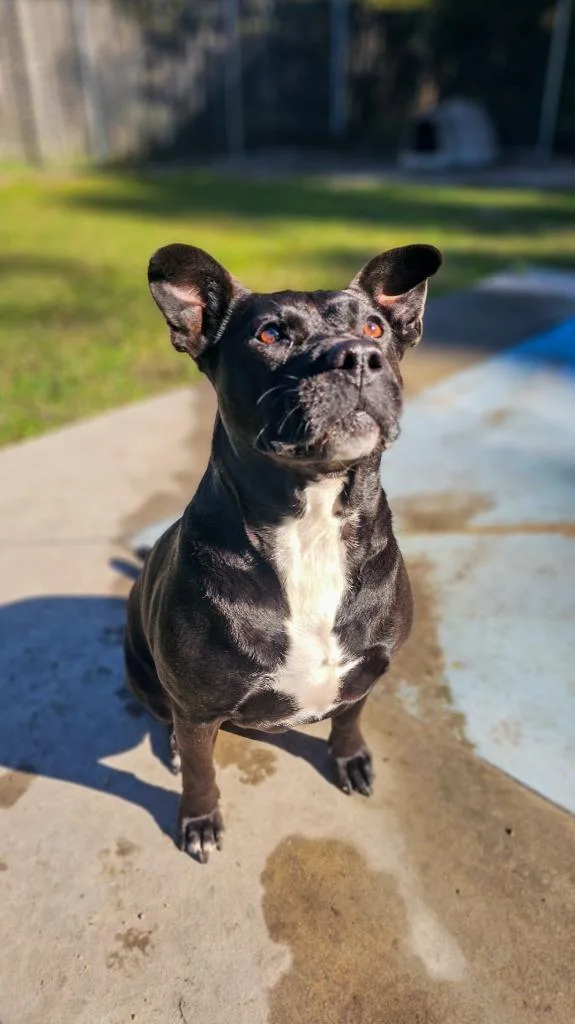 Precious thumbnail 2