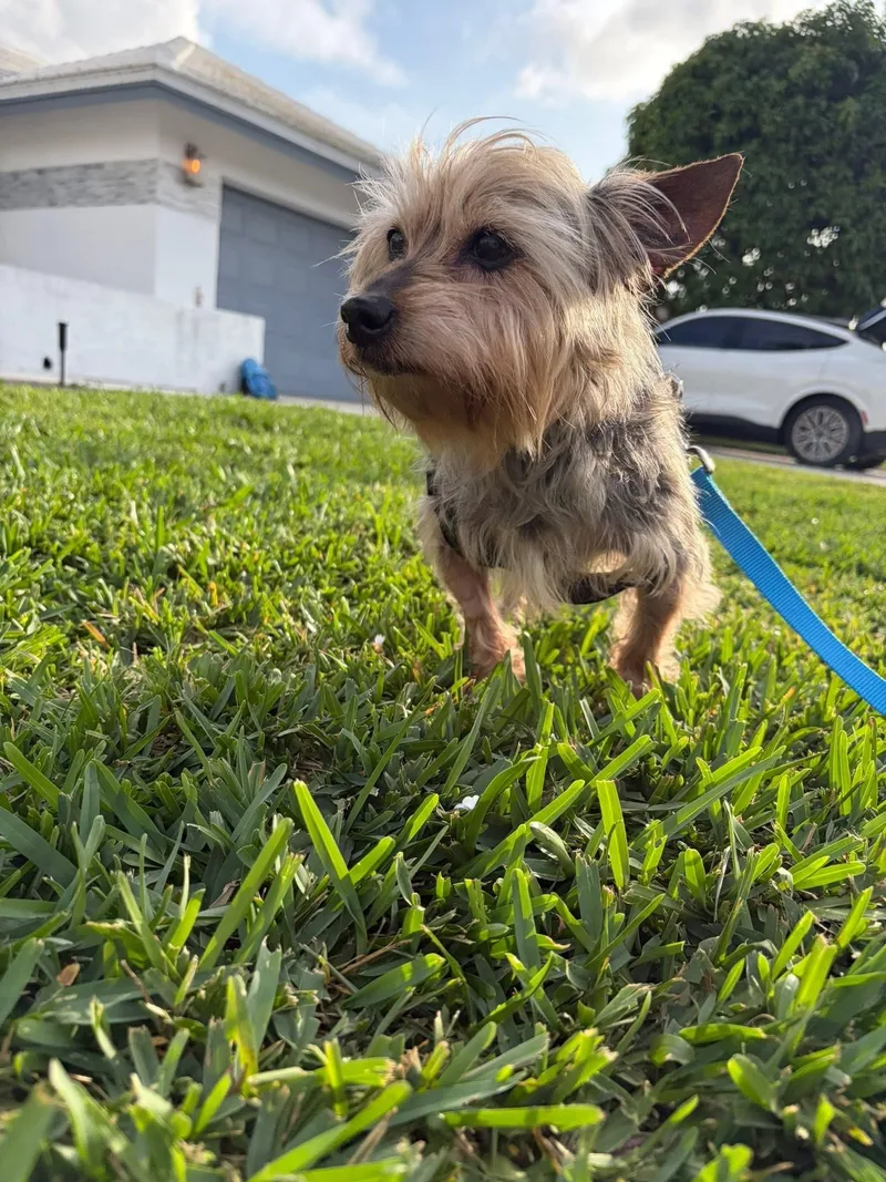Benny