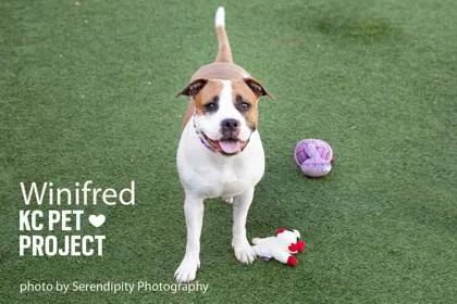 Winifred thumbnail 2