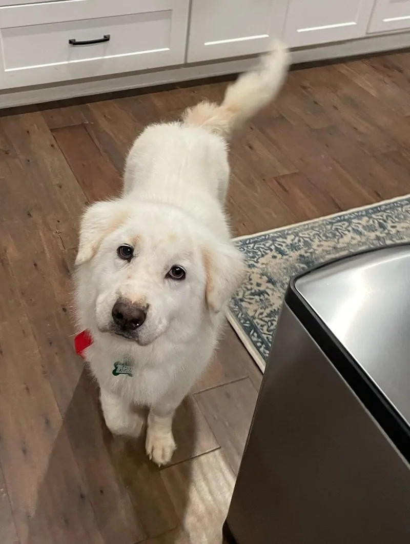 Hallie Berry thumbnail 3