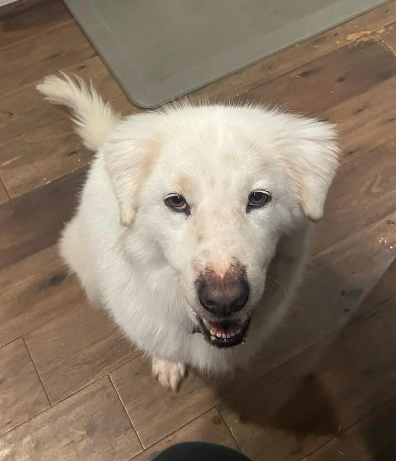 Hallie Berry thumbnail 4