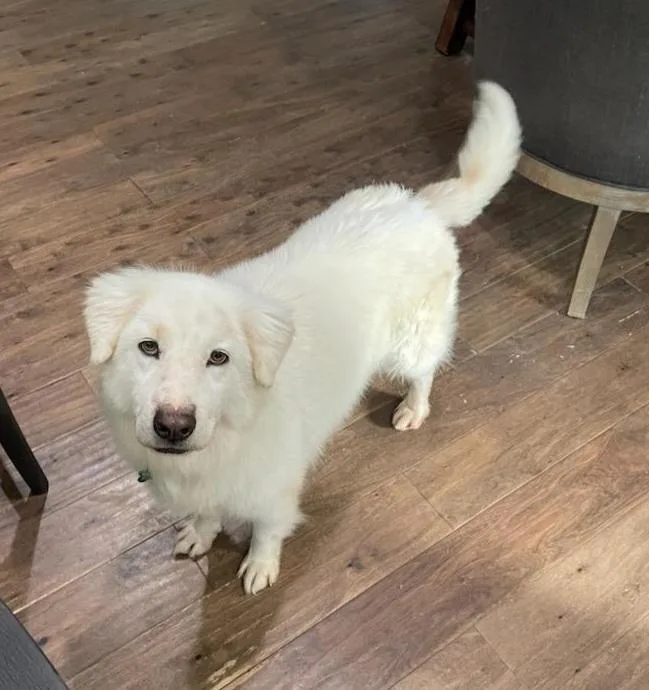 Hallie Berry thumbnail 5