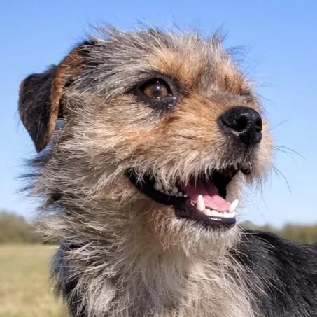 Speckles thumbnail 3