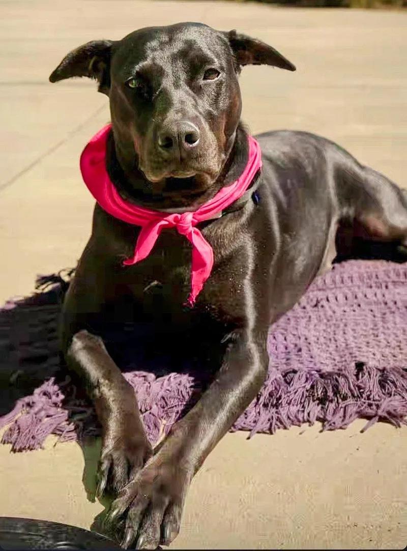 Eleanor Ellie thumbnail 2