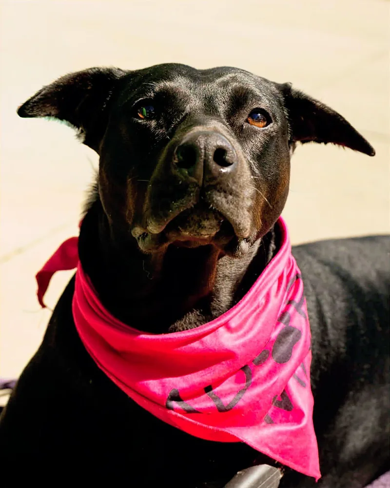 Eleanor Ellie thumbnail 3