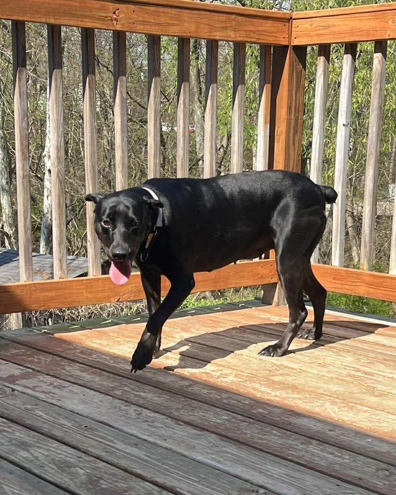 Eleanor Ellie thumbnail 5