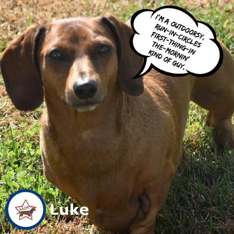 Luke in NC thumbnail 2