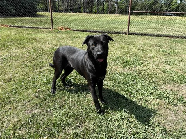 Xena