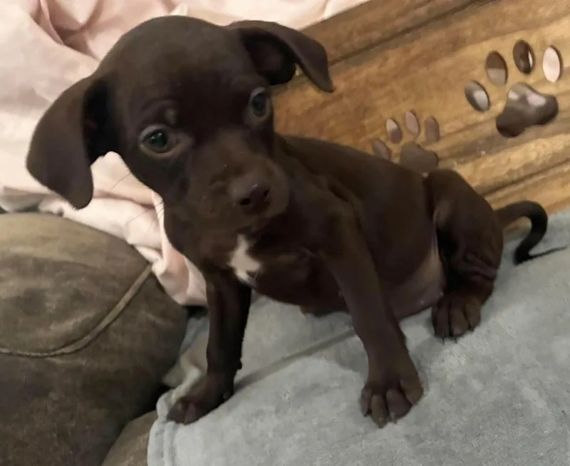 Coco