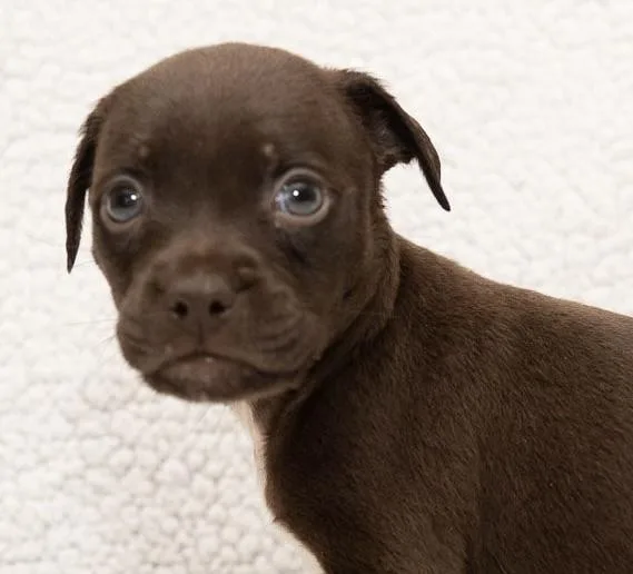 Coco thumbnail 2