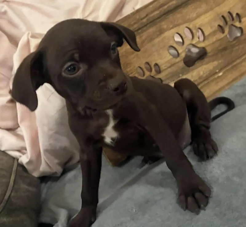 Coco thumbnail 3
