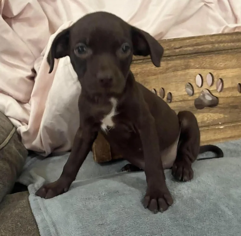Coco thumbnail 4