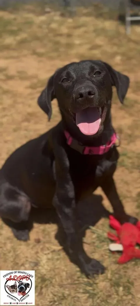 Mia