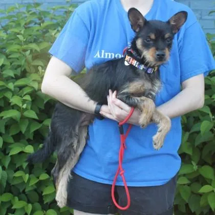 Maxim thumbnail 2